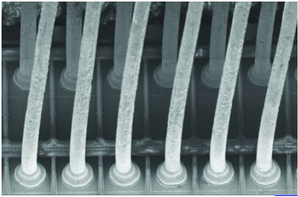 Scanning electron micrograph showing a row of copper bond wires preserved intact on the die surface after processing.